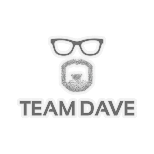 TEAM DAVE Stickers